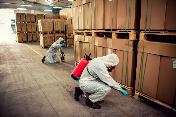 Trusted Lockport Heights, IL Pest Control Experts