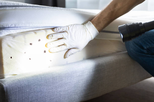 Pest Control Cost in Lockport Heights, IL