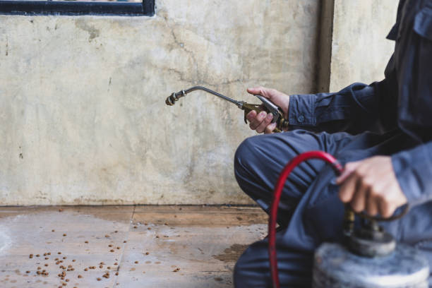 Wasp Removal Services in Lockport Heights, IL