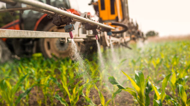 Best Pest Control Cost  in Lockport Heights, IL